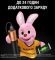 Duracell Duracell 3350 mAh Black/Copper