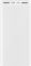 Xiaomi Mi 3 20000 mAh USB-C 18W PLM18ZM White (VXN4258CN)