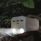 Yoobao H5 185Wh PD 20W/SCP 22.5W White / / 753645